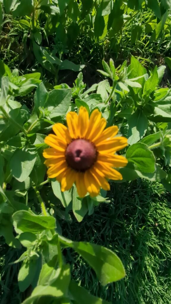 photo: Hidden Acres Farms, LLC