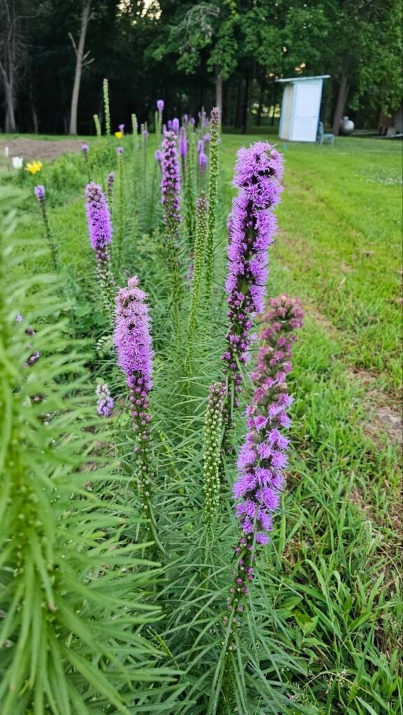 photo: Hidden Acres Farms, LLC