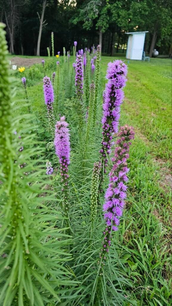 photo: Hidden Acres Farms, LLC